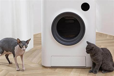 The Future of Pet-Sitting: Robot Litter Boxes in 2025