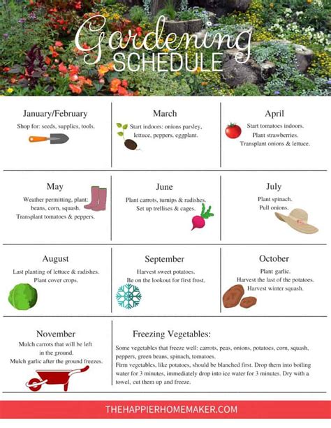 The Gardener s Year The Ultimate Month-by-Month Gardening Handbook