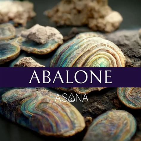 The Genesis of Abalone Crystals