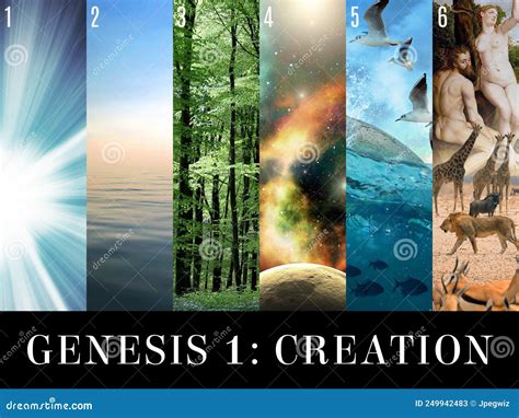 The Genesis of an Enchanting Creation