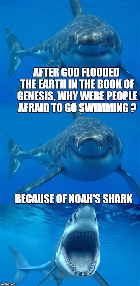 The Genesis of the Noah's Ark Meme