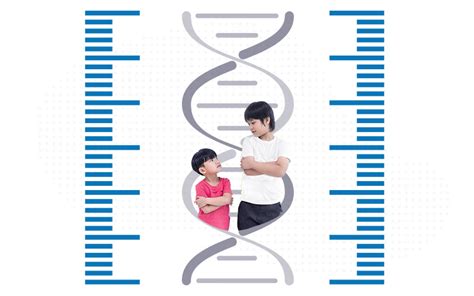 The Genetics of Height