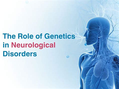 The Genetics of Neurological Disorders PDF