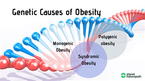 The Genetics of Obesity Epub