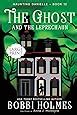 The Ghost and the Leprechaun Haunting Danielle Volume 12 Reader