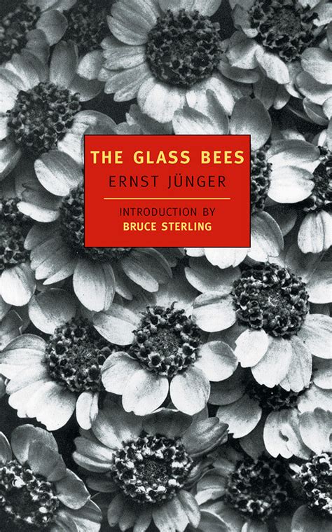 The Glass Bees New York Review Books Classics Epub