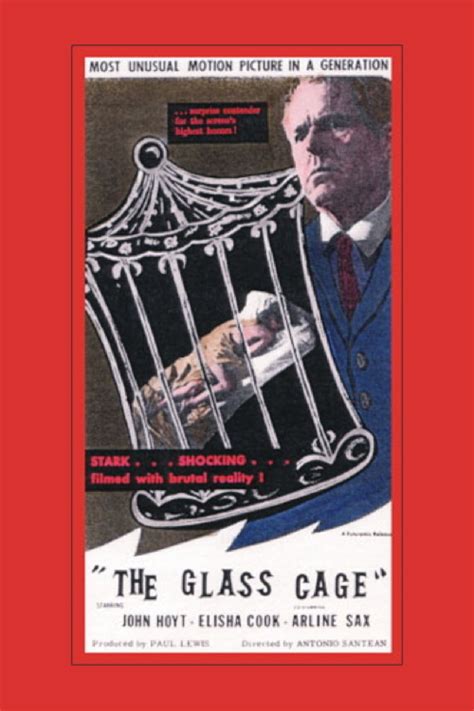The Glass Cage Kindle Editon