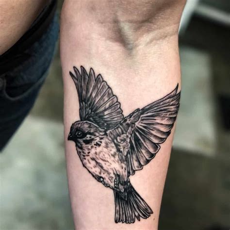 The Golden Sparrow Tattoo: A Symbol of Hope, Renewal, and Resilience