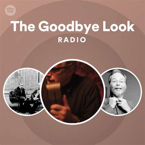 The Goodbye Look Epub