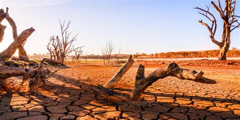 The Grave Impacts of Climate Change