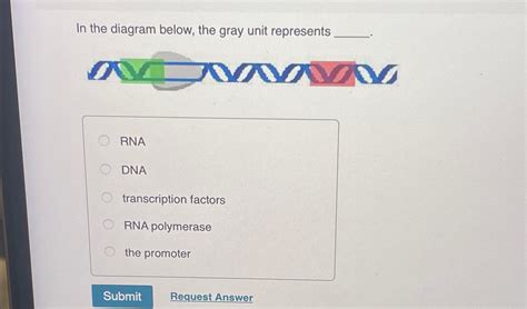 The Gray Unit: A Gateway to Enhanced Function