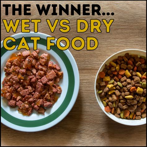 The Great Debate: Wet vs. Dry Cat Food - Examining the Nutritional and Health Implications