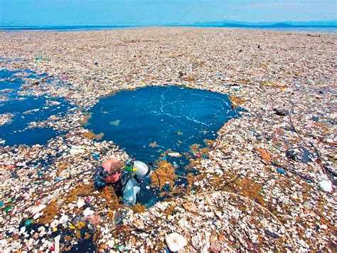 The Great Pacific Garbage Patch: A Colossal Plastic Trap