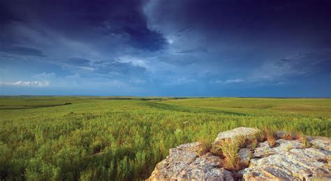 The Great Plains Reader