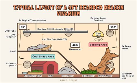 The Great UVB Light Debate: Should it Span the Entire Tank?