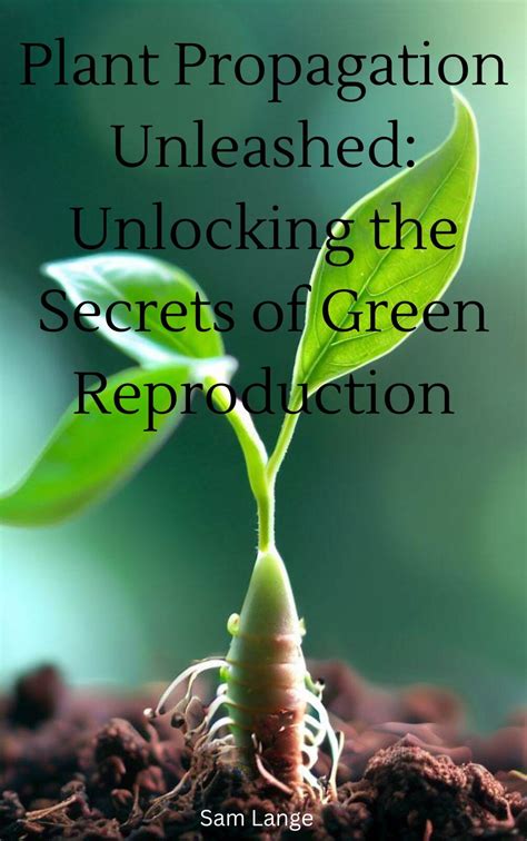 The Green Oasis: Unlocking the Secrets of Plant Propagation