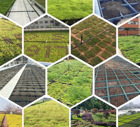 The Green Revolution in Urban Landscapes