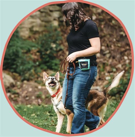 The Growing Demand for Modern Dog Training