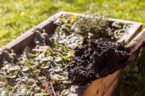 The Growing Need for Fertilizer Compost