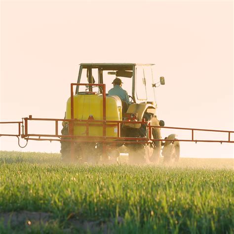 The Growing Need for Fertilizers: A Global Perspective