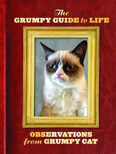 The Grumpy Guide to Life Observations from Grumpy Cat PDF