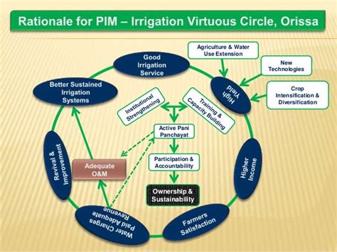 The Guiding Visible Hand of Participatory Approaches to Irrigation Management Kindle Editon