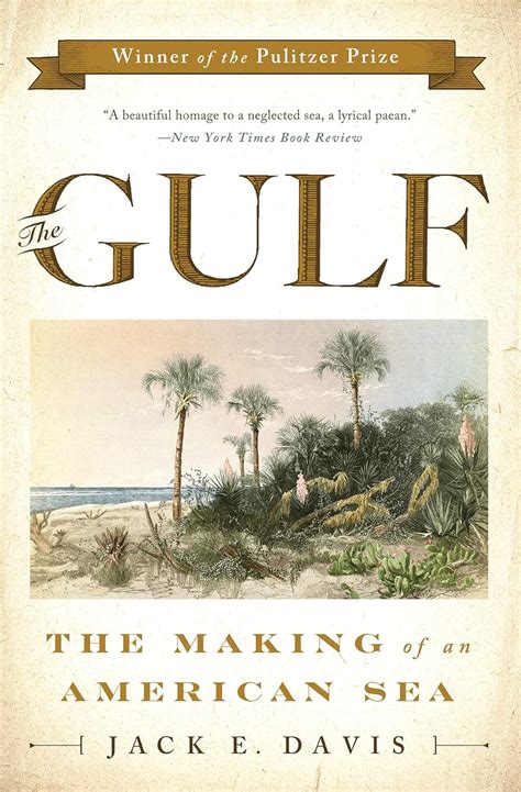 The Gulf The Making of An American Sea Doc