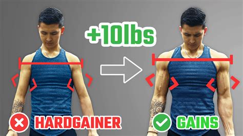 The Hardgainer's Body Building Hand Doc