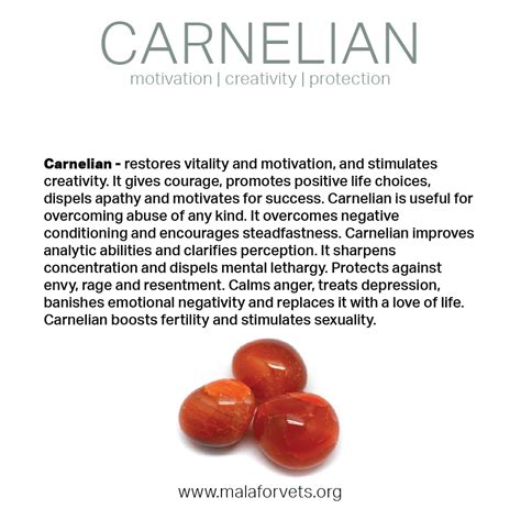 The Healing Embrace of Carnelian