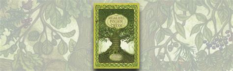 The Healing Power of Trees Spiritual Journeys Through the Celtic Tree Calendar Epub