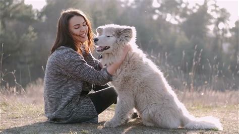 The Healing Touch: Canine Companionship and Mental Health