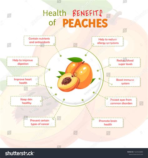 The Health Benefits of Peachez