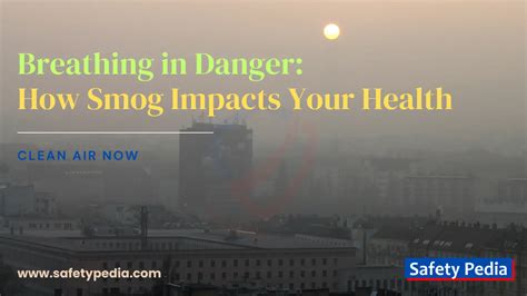 The Health Impacts of Smog