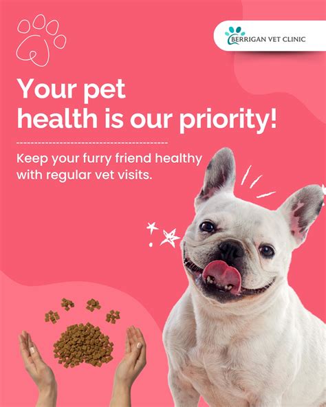 The Health of our furry friends is a top priority for many pet owners.