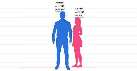 The Height Factor: A Statistical Comparison