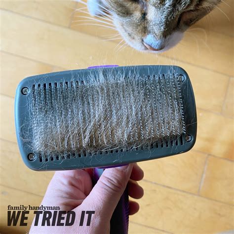 The Hertzko Cat Comb: A Comprehensive Overview