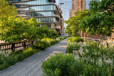 The High Line Park Regeneration: