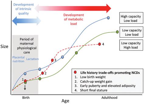 The Historical Trajectory