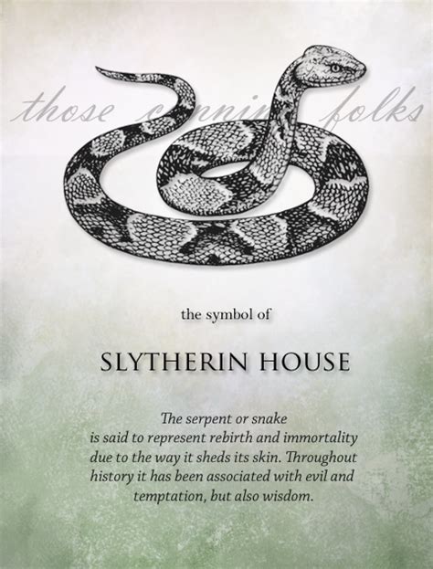 The History and Symbolism of Slytherin's Attire