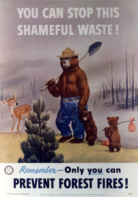 The History of Smokey Bear