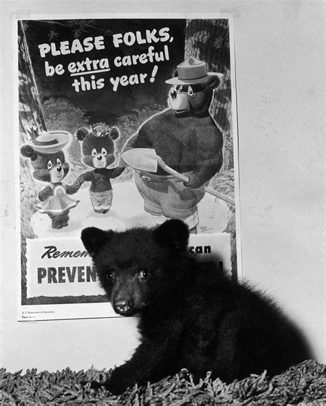 The History of Smokey the Bear