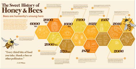 The History of VipHoney