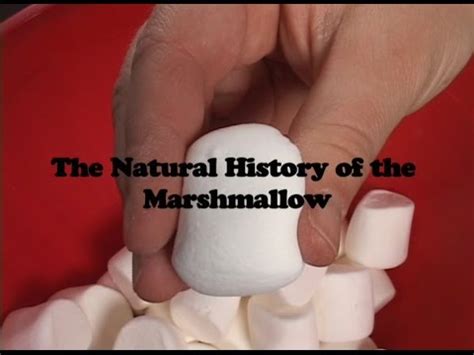 The History of the Marshmallow Game: Uncovering Its Origins