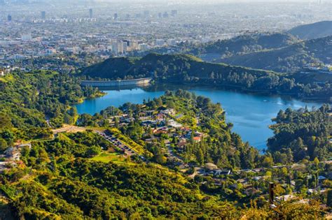 The Hollywood Reservoir Deer: An Urban Oasis Amidst the Hustle and Bustle