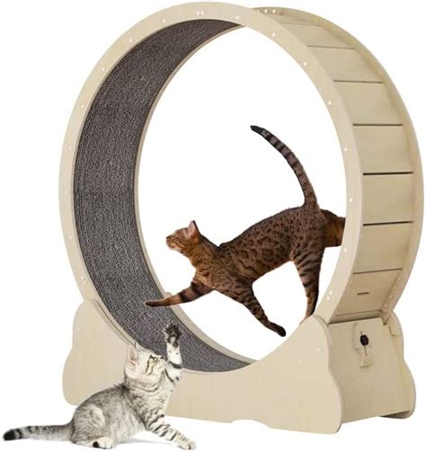 The HomeGroove XXL Cat Wheel: The Ultimate Guide to Providing Your Feline with Exercise and Entertainment