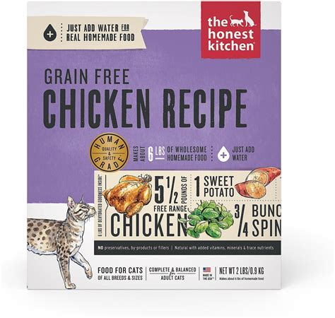 The Honest Truth About Honest Kitchen Cat Food: A Comprehensive Guide to Nourishing Your Feline Companion