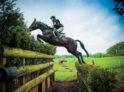 The Horse GT: Race to the Top with Equine Excellence