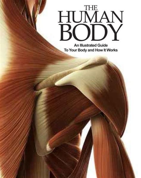 The Human Body An Illustrated Guide To Your Body And How It Works Epub