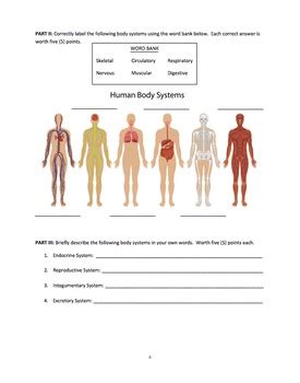 The Human Body Answer Key Doc