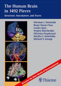 The Human Brain in 1492 Pieces Structure Reader